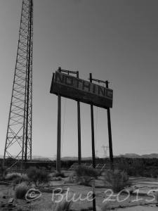 11269743_887202911347544_618693782726620544_n