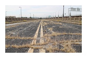 Even the weeds have to fend for themselves