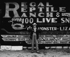 Regalfront-e1428398167294