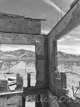 11139355_885679398166562_463181637644374783_n